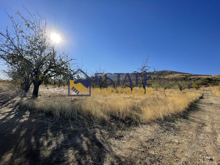 Продава се Парцел в с. Брестник, Област Пловдив - 1270 кв.м за 21 €/кв.м - Снимка #2