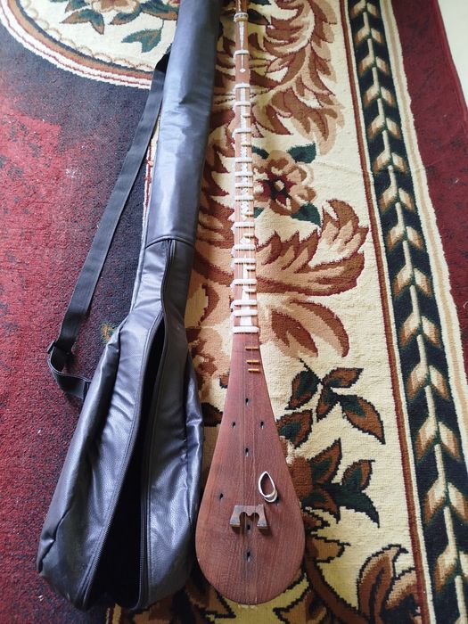 Tanbur musiqa asbobi