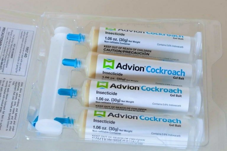 Advion Cockroach Gel Bait эффективное средство от тараканов| Настоящий