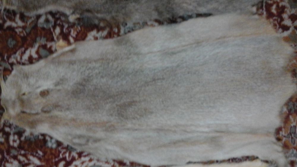 Blanuri Nutrie Diverse Culori