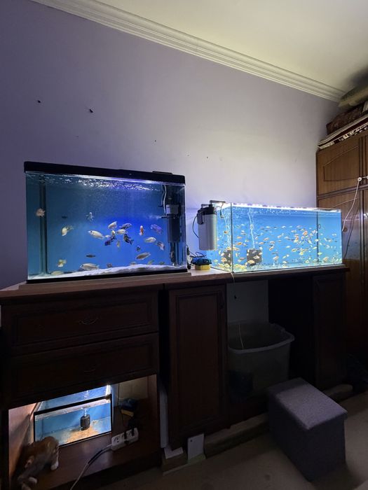 2ta katta akvarium filtrlari bilan 150$