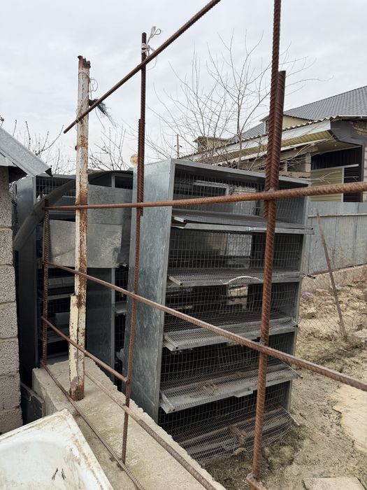 Сетка для перепелки, инкубатор