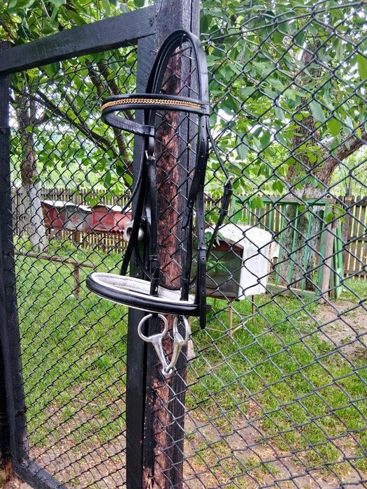 Frâu de echitație(zăbală din inox, o pereche de fălcele și dârlogi)