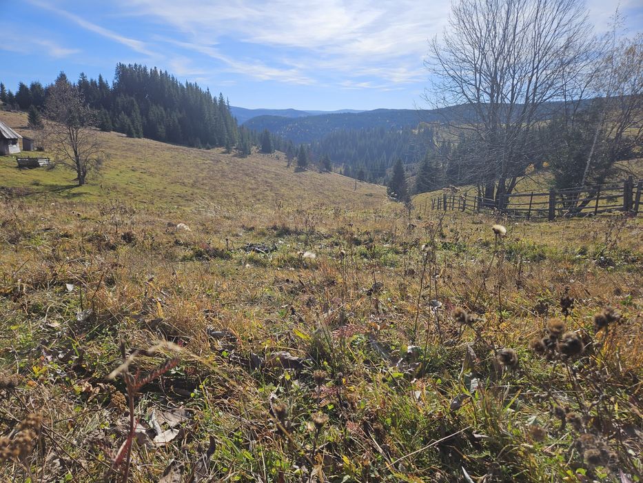 Teren de vanzare Maguri