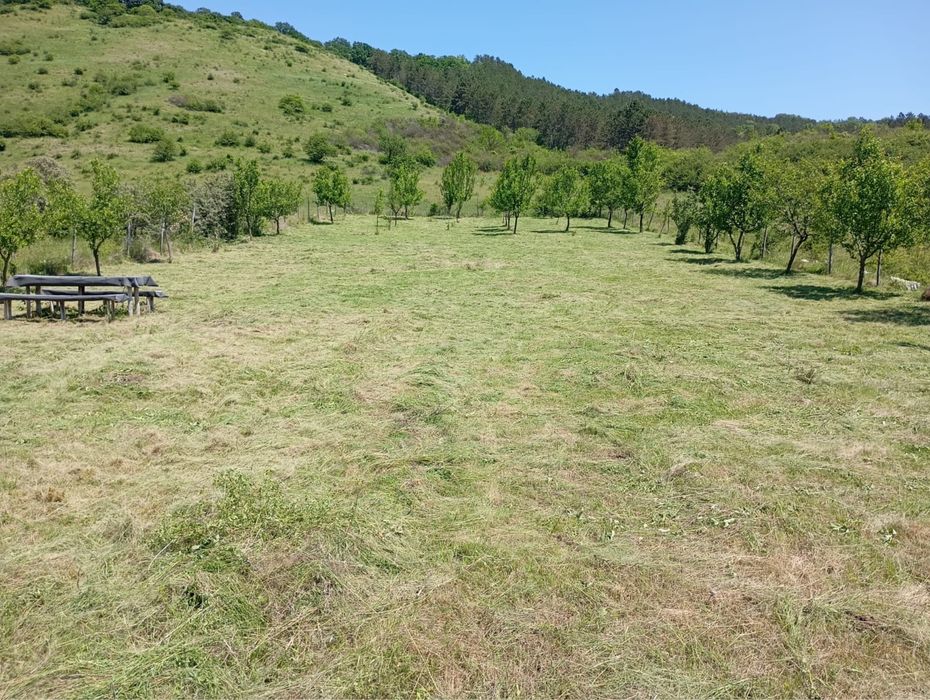Vând teren extravilan Lacul Țaga Mare