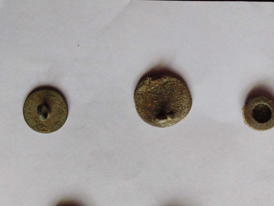 Nasturii lui napoleon