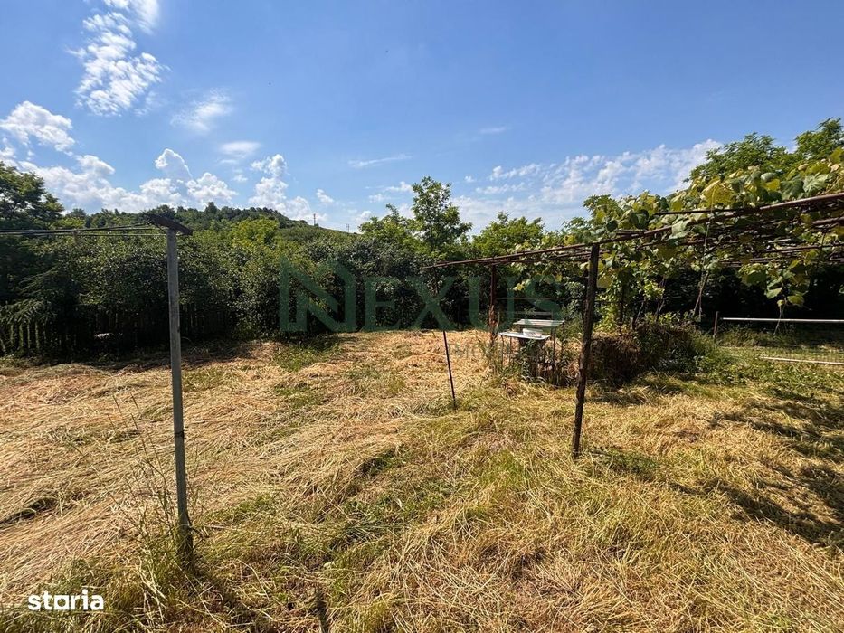 Casă bătrânească cu teren de 3.200 mp în Hertioana de Jos, jud.Bacău