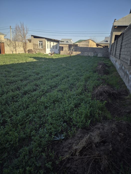 Шахрисабизда участка ижарага берилади газ свет сув   бор