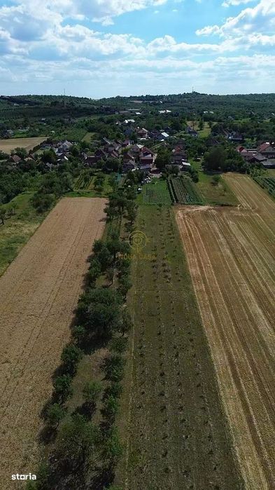 De vanzare Casa cu 4 camere si teren de 4.839mp/Utilata/Mobilata