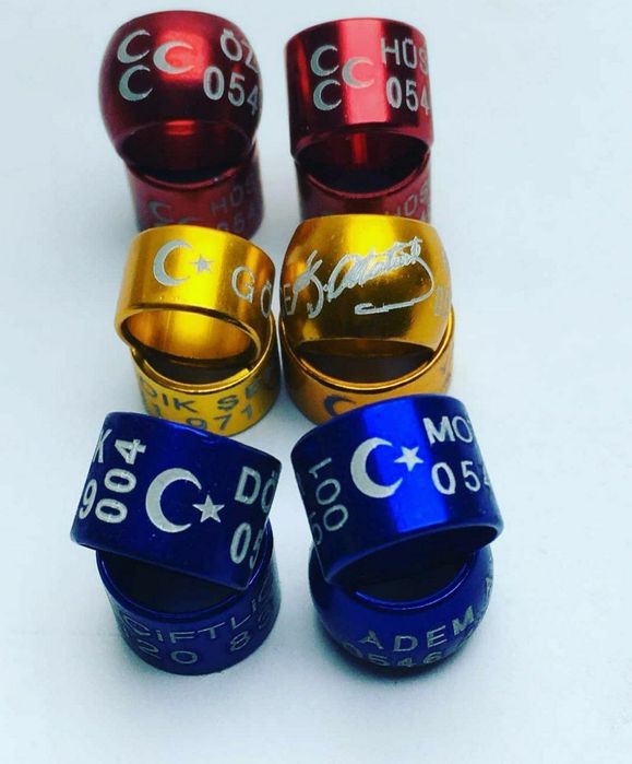 Барча кушлар калцо