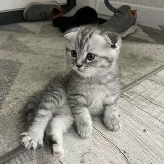 Милейшие Деточки