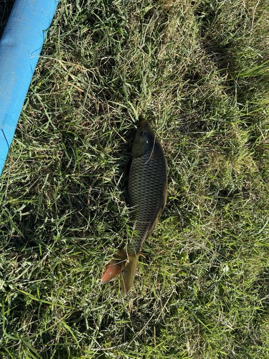 Рыбалка и дом с баней за городом