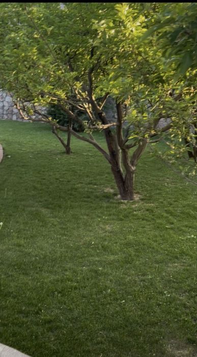 Земля 21 сотка Геофизика