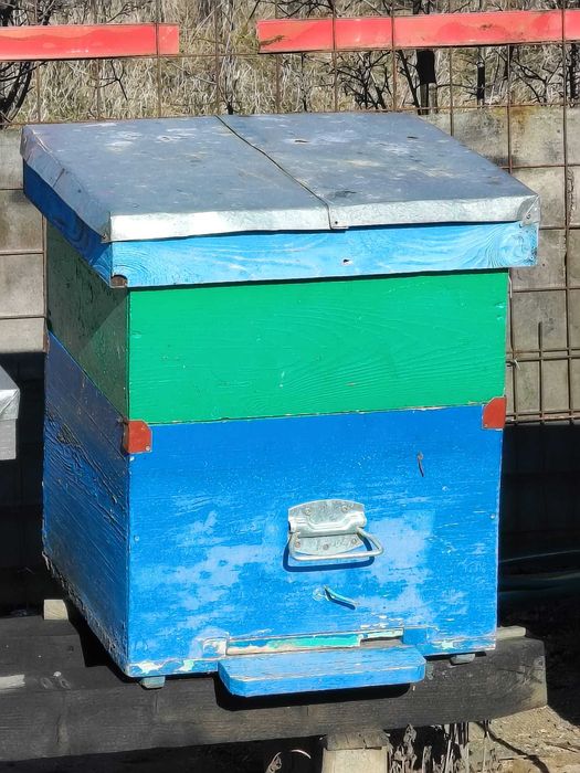 Vând cutii stupi 12 rame + cat 3/4 + podisor + diafragma + capac