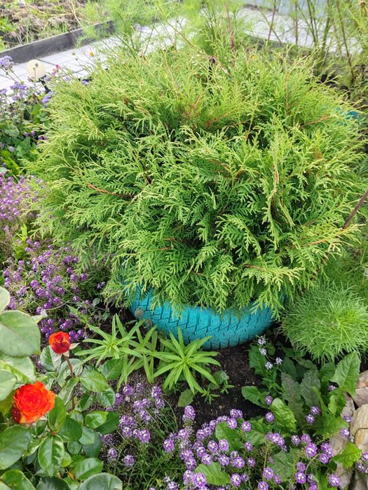 Дача в обществе Лада