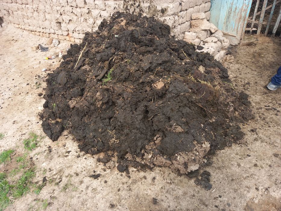 Tabiiy qo'y go‘ngi (nuri) sotiladi