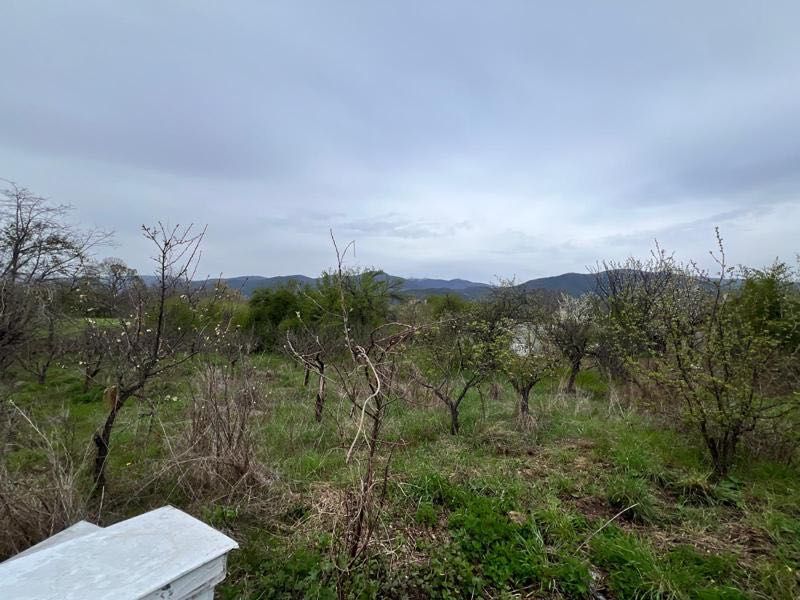 Живописен Парцел 251 кв. в Казанлък и Енина - Вилна Зона "Старите Лозя"