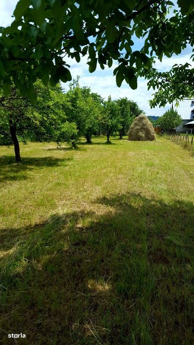 Teren intravilan împrejmuit 2331 mp la strada, toate utilitățile!