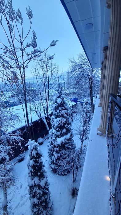 Аренда Дачи,,Villa Bars,,возле Бочки.Без посредников.