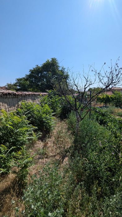 Почистване и поддръжка на дворове, градини и външни пространства.