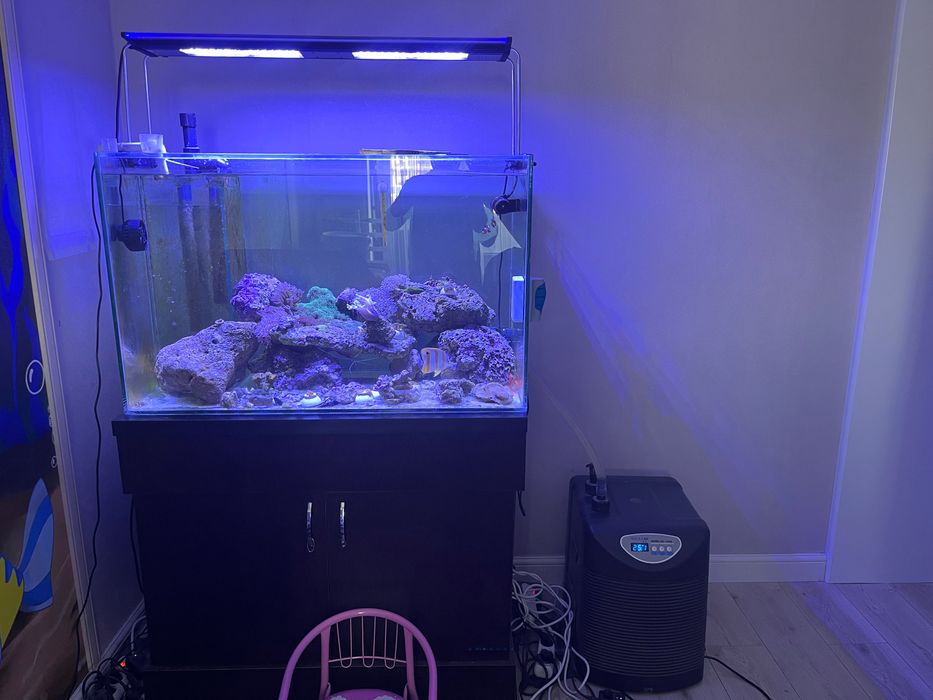 Морской аквариум