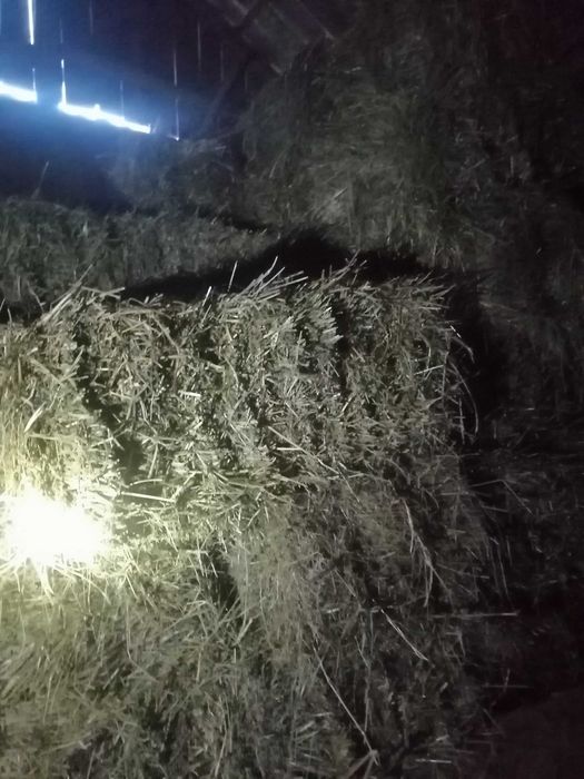 Baloti dreptunghiulari