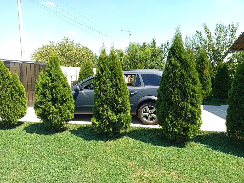 Casă Copăceni Ilfov