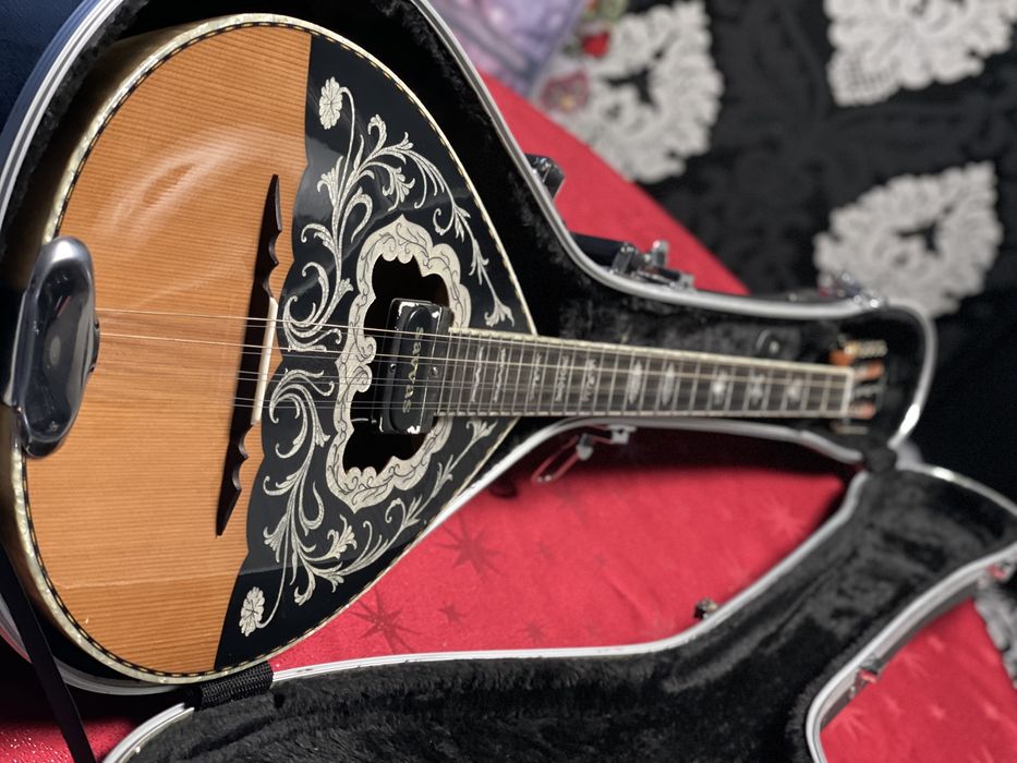 Бузуки майстор Stamkos, с куфар и адаптер.