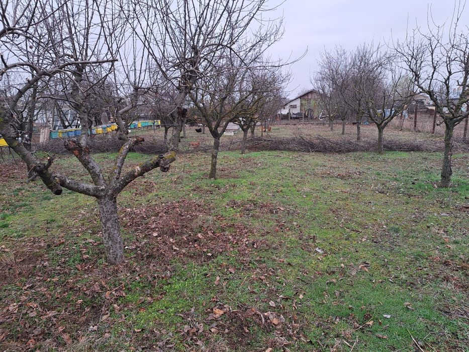 Teren intravilan 3000 mp/Cadastru