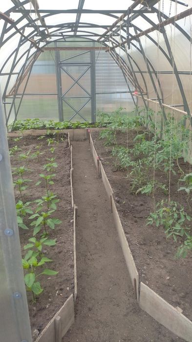 Продам дачу в обществе водопроводчик