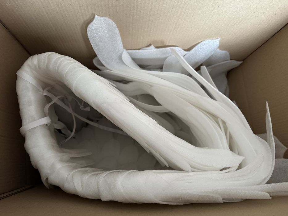 Aripi pentru sedinta foto