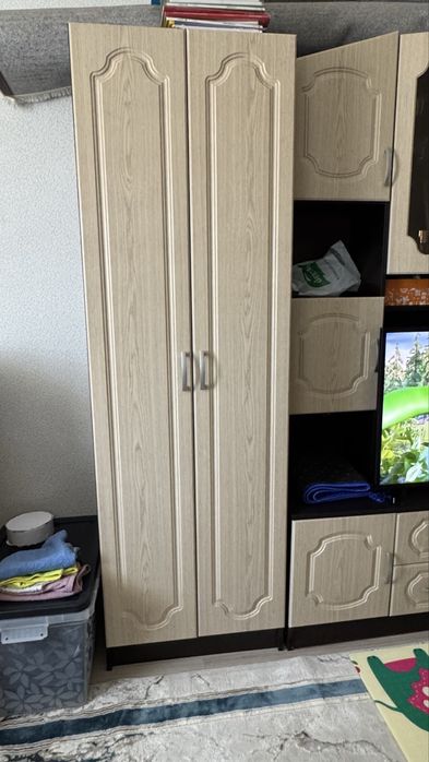 Шкаф для зала 111