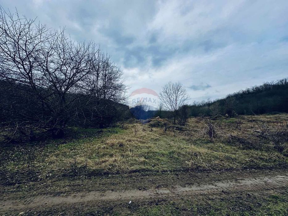 Продава се Парцел в с. Църква, Област Добрич - 25000 кв.м за 3 €/кв.м - Снимка #3