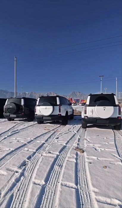 Rox 01 2026 yil Oq va qora Ranglarda Servis Garantiya bor