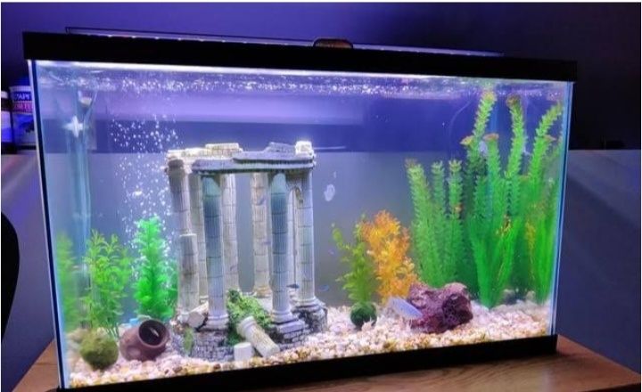 Акварим ясаш ремонт хизмати