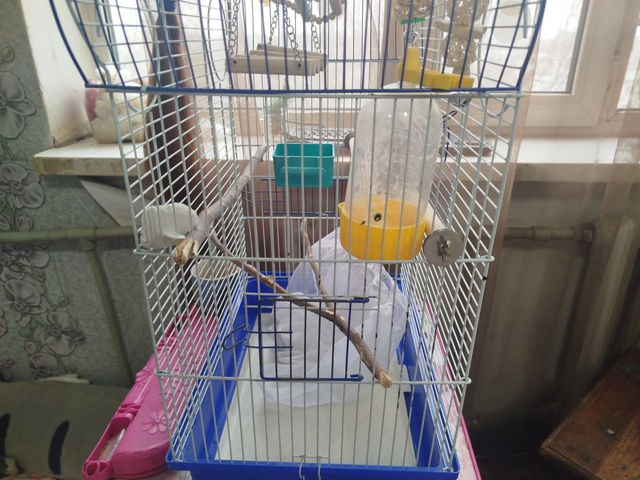 Клетка для корелл и больших птиц