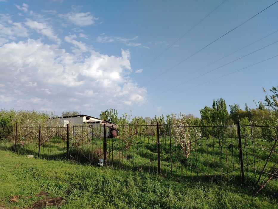 Ташморяда 60 стокли ер