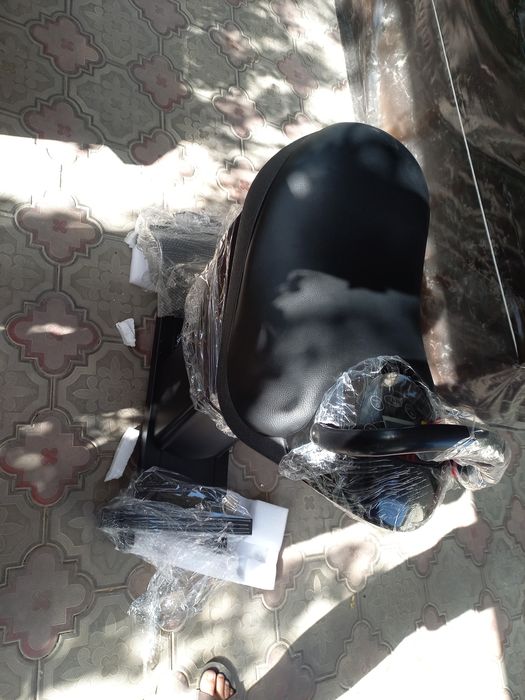 Электроная  лошадь