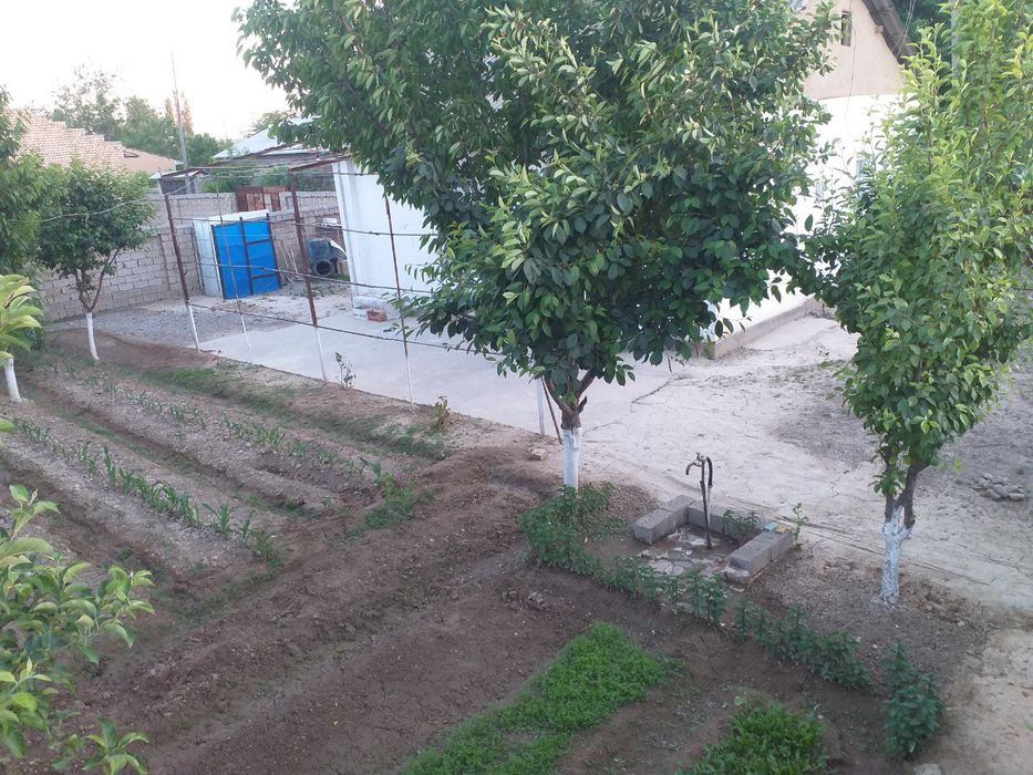 Уй жой сотилади 6 сотих