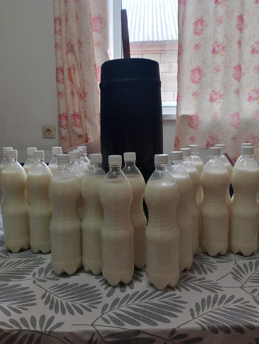 Қымыз ысталған күбіде пісіліп бабы келген Астана қаласына доставка бар