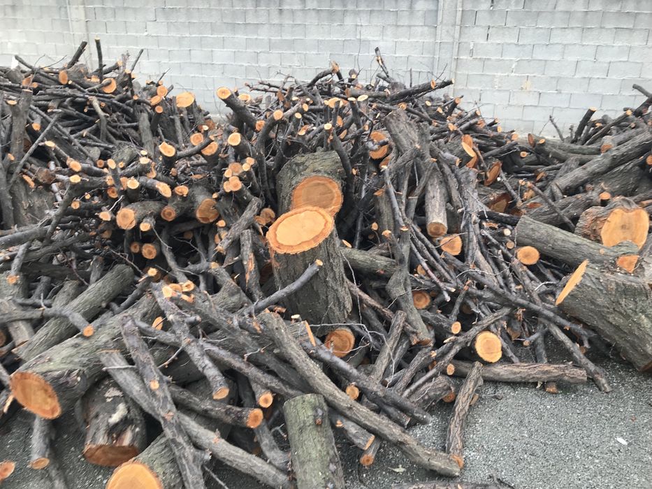 Otin sotiladi bir mawina 53 da chiqadi manzil:andijon tumani xrabekdan