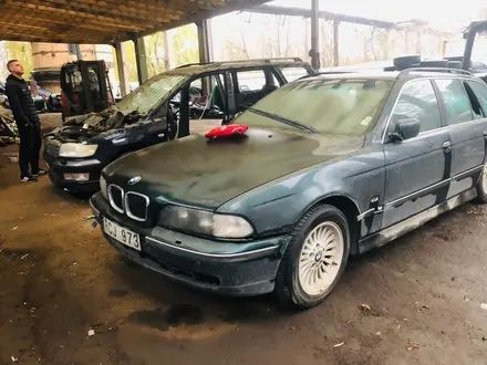 Авторазбор бмв е39