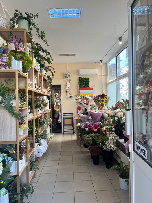 Florarie Vând Afacere  la cheie