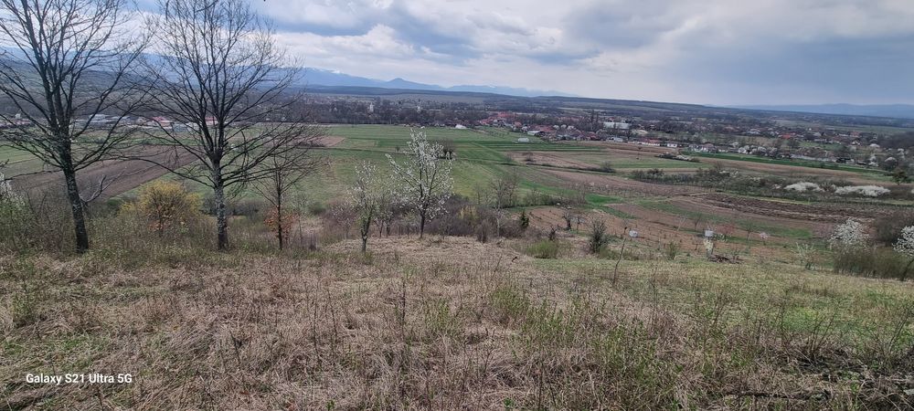 Vând  774 mp teren pt  cabana Valea Rosiei-Remetea,  pret  total 550 e