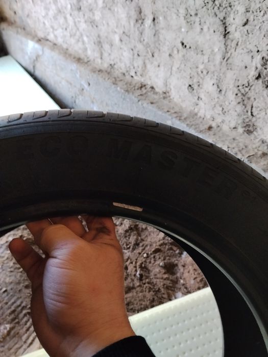 Монза родной шина