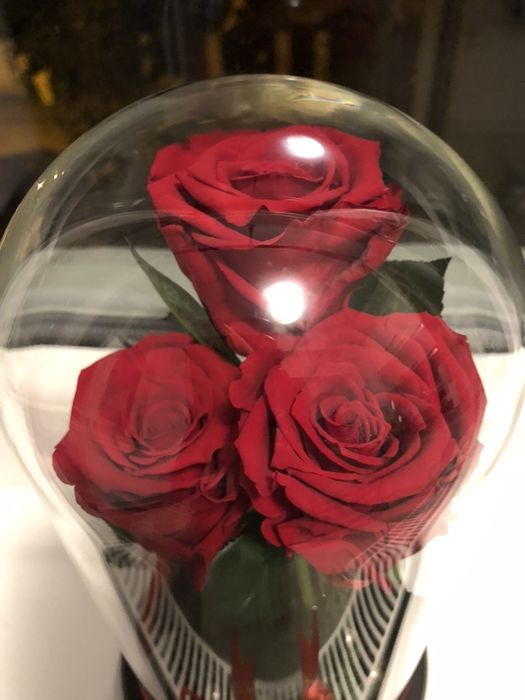 Trandafiri in cupola