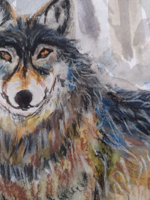 Вълк - рисунка акварел/пастели