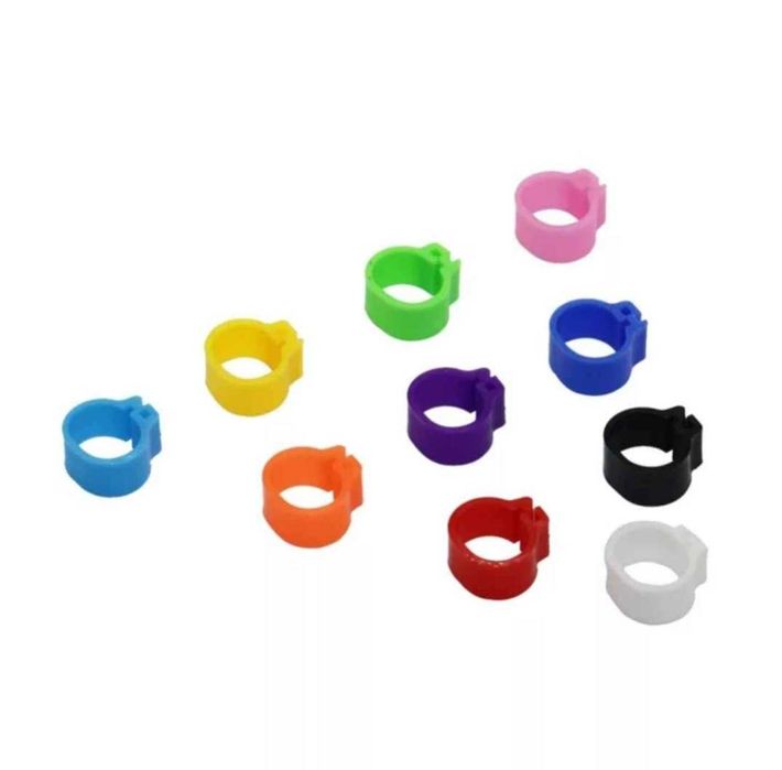 Inele , Cleme , Porumbei-Papagali