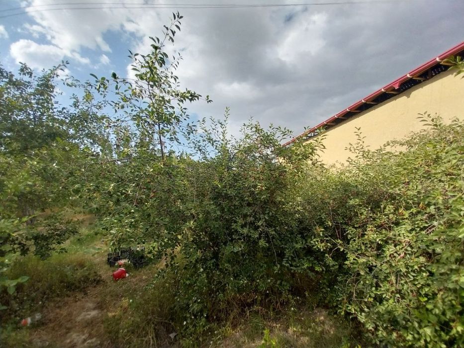 Ер участка сотилади. Самарканд вилояти Ургут тумани (Urgut shaxar emas