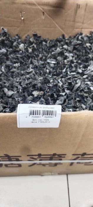 Древесные грибы на продажу